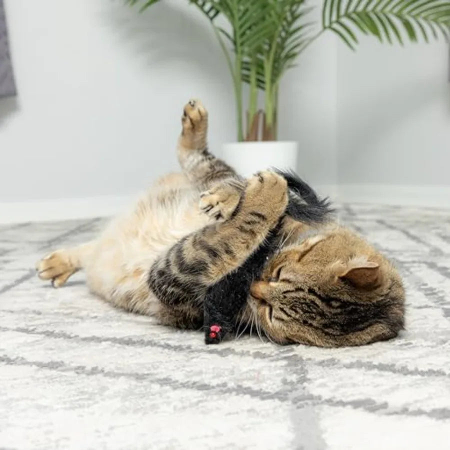 Shaggy Plush Ferret Interactive Rattle and Catnip Fuzzy Toy for Indoor Cats and Kittens Large Size 11 Inches Perfect for Pounci