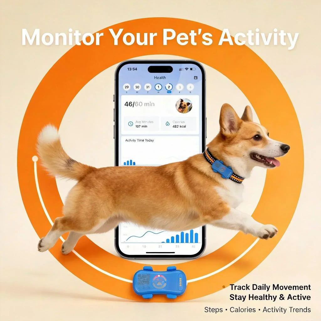 WANWAYTECH GPS Pet Tracker 4G Dogs Cats Real Time Tracking IP67 Waterproof